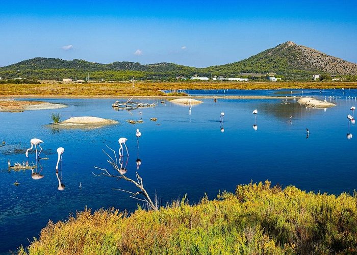 Albufera Natural Park